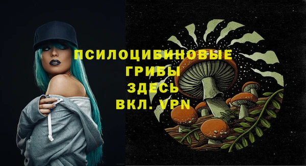 молекула духа Нефтекумск