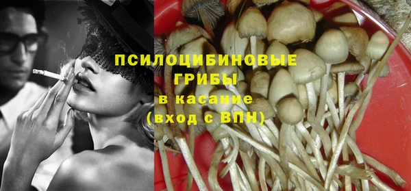 молекула духа Нефтекумск