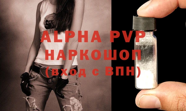 молекула духа Нефтекумск