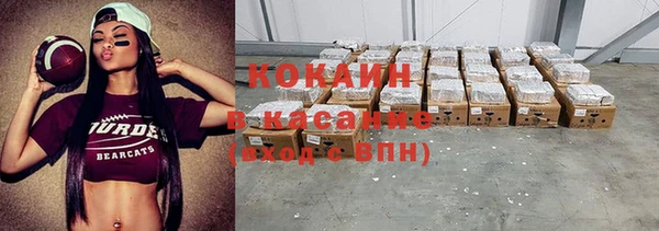 твердый Алексин