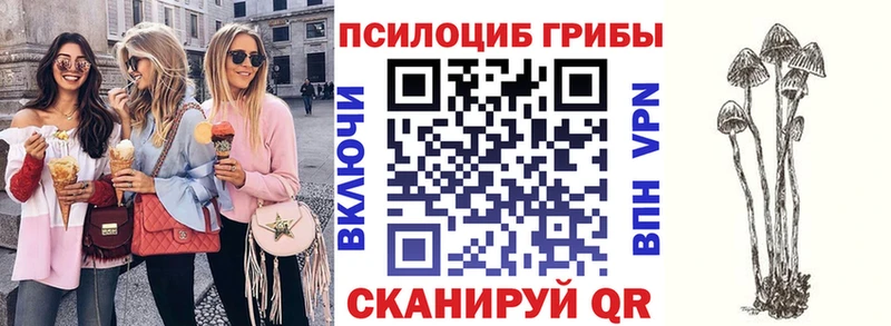 Галлюциногенные грибы мицелий  Шиханы 
