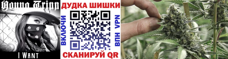 kraken сайт Шиханы Шишки марихуана гибрид купить наркоту